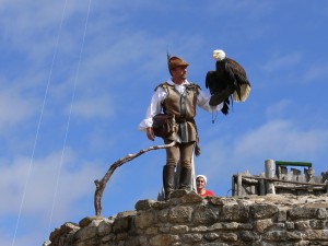 Puy du Fou Les oiseaux